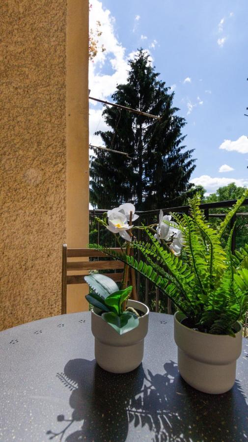 Lk43-Lodging City-Apartments, Kontaktlos Mit Self Check-In Graz Luaran gambar